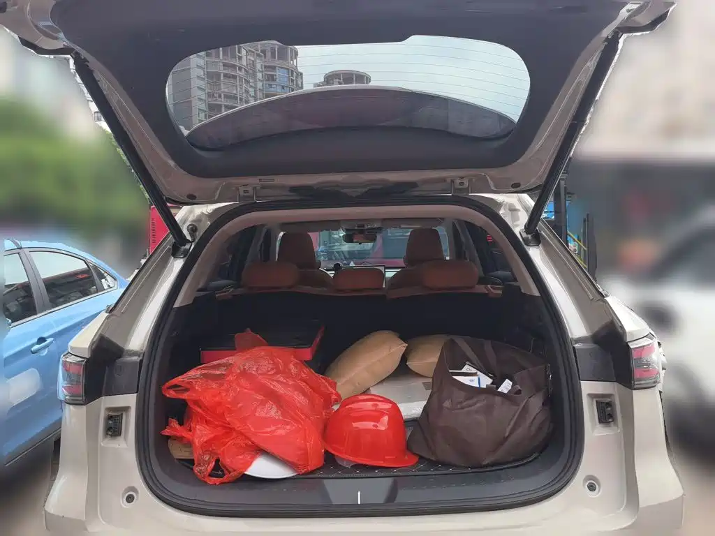 Haval Xiaolong MAX 2025 2025 Hi4 110 Pro