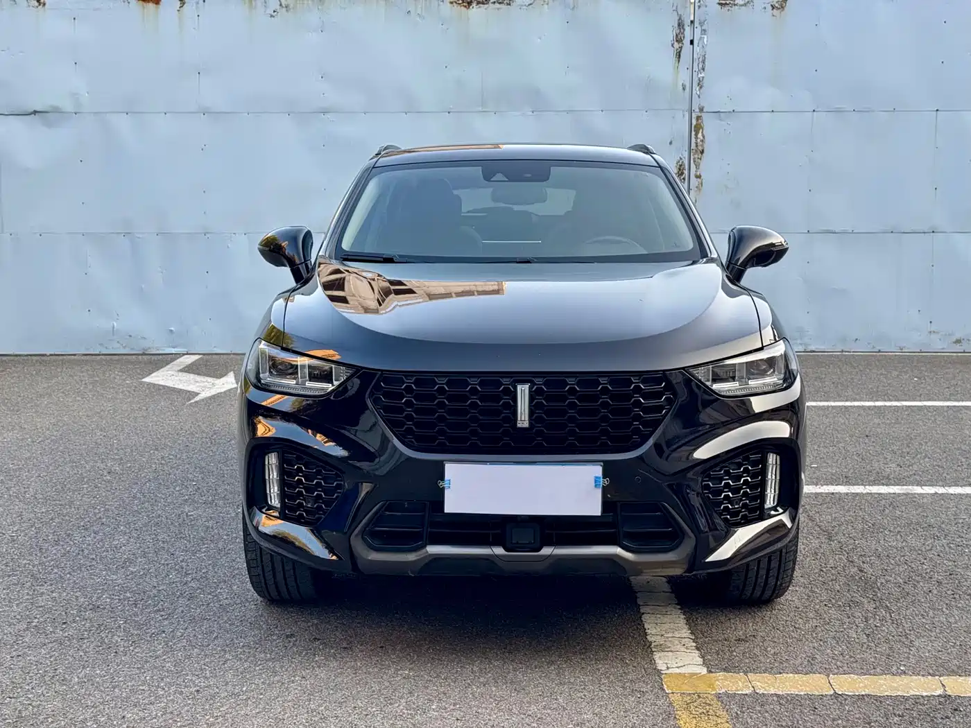 WEI PAI WEI BRAND VV5