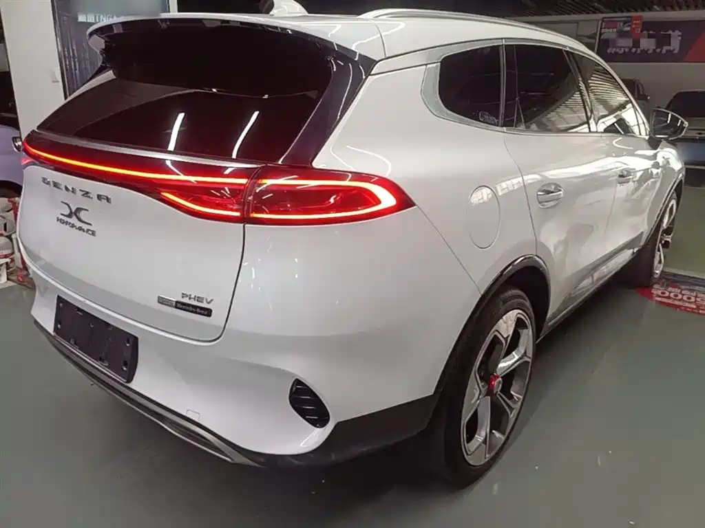 Denza X 2020 Model PHEV Flagship Edition фото 7