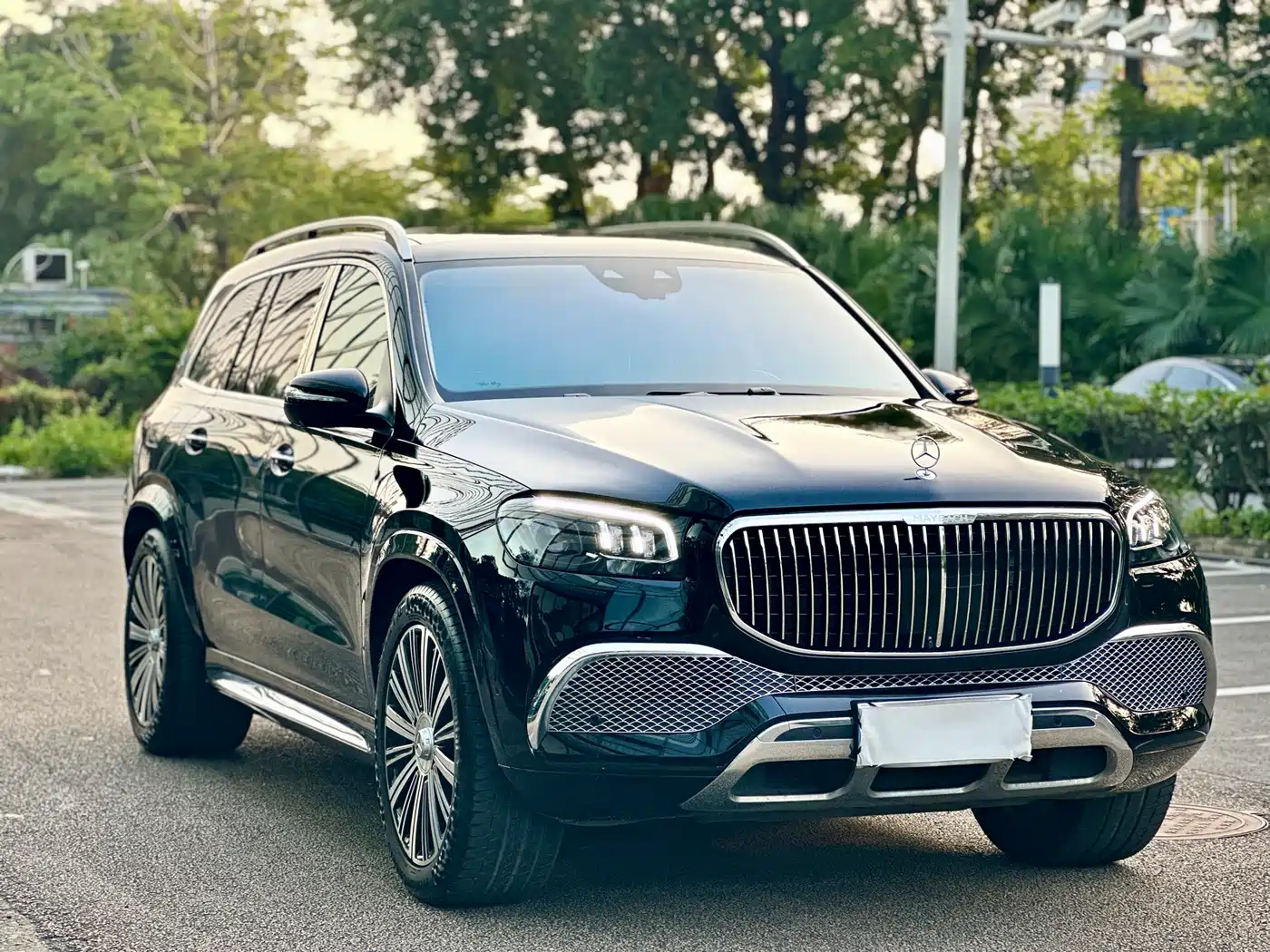 Mercedes-Benz Maybach GLS 2022 GLS 480 4MATIC фото 2