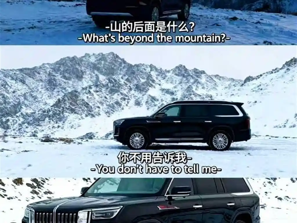 Hongqi HONGQI GUOYAO