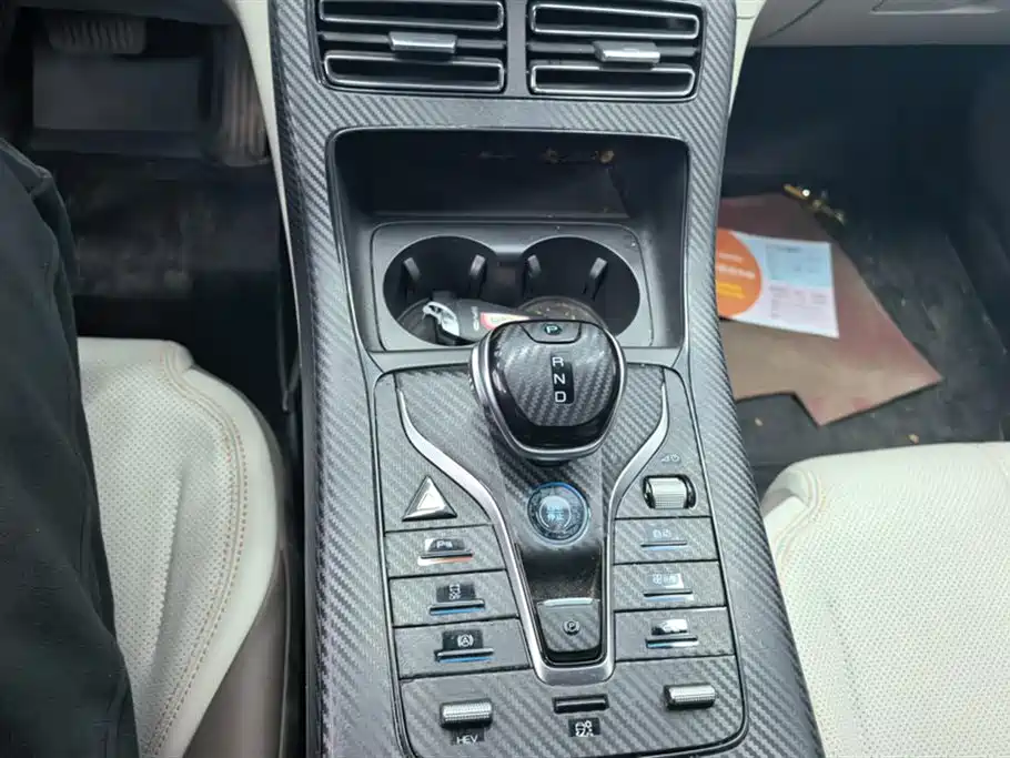 BYD Qin PLUS 2024 Glory Edition DM-i 55KM Leading фото 16