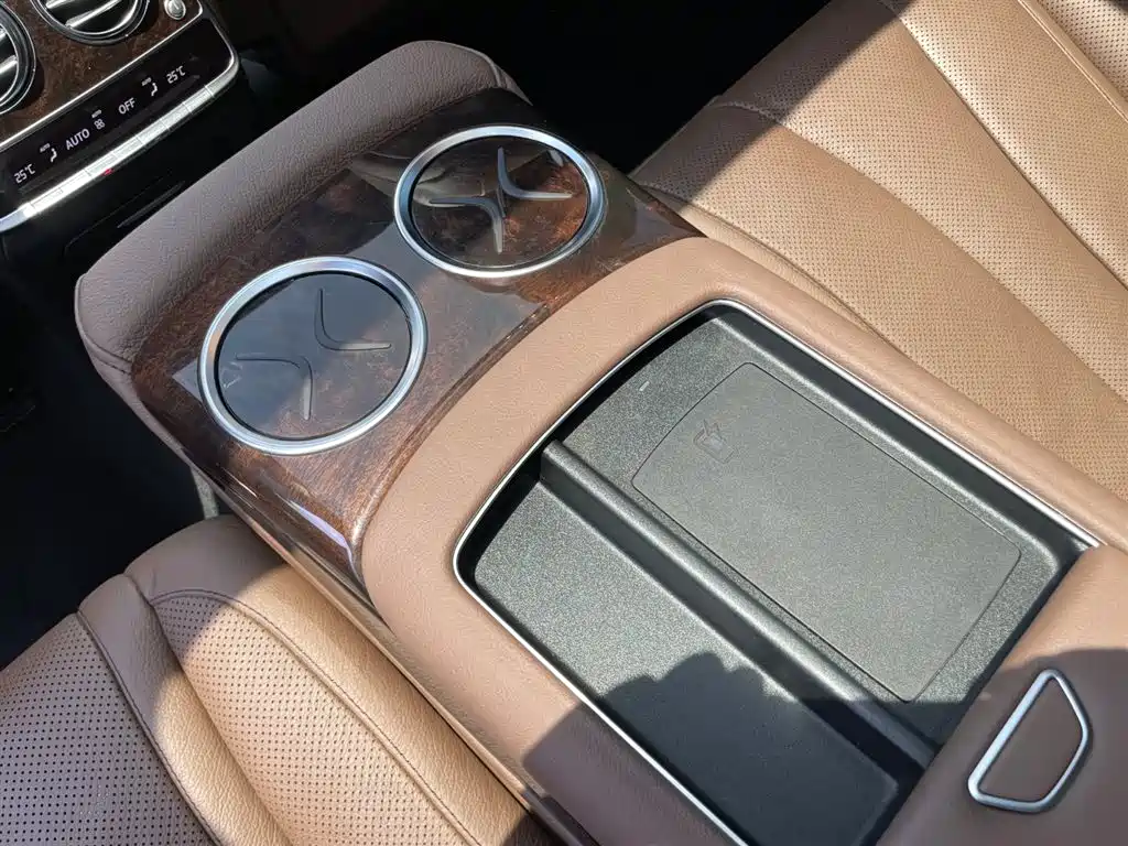 Mercedes-Benz S-Class 2020 S 350 L Premium Edition Collector's Version фото 14