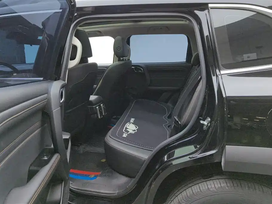 Haval Big Dog 2024 1.5T DCT Border Collie Edition фото 11