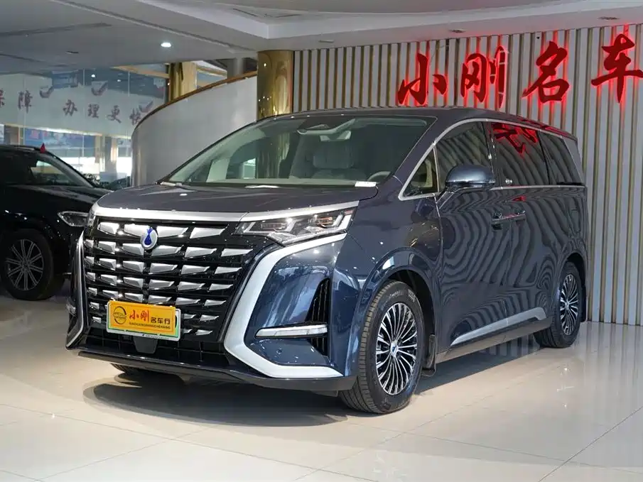 Denza D9 2022 DM-i 970 AWD Flagship фото 2
