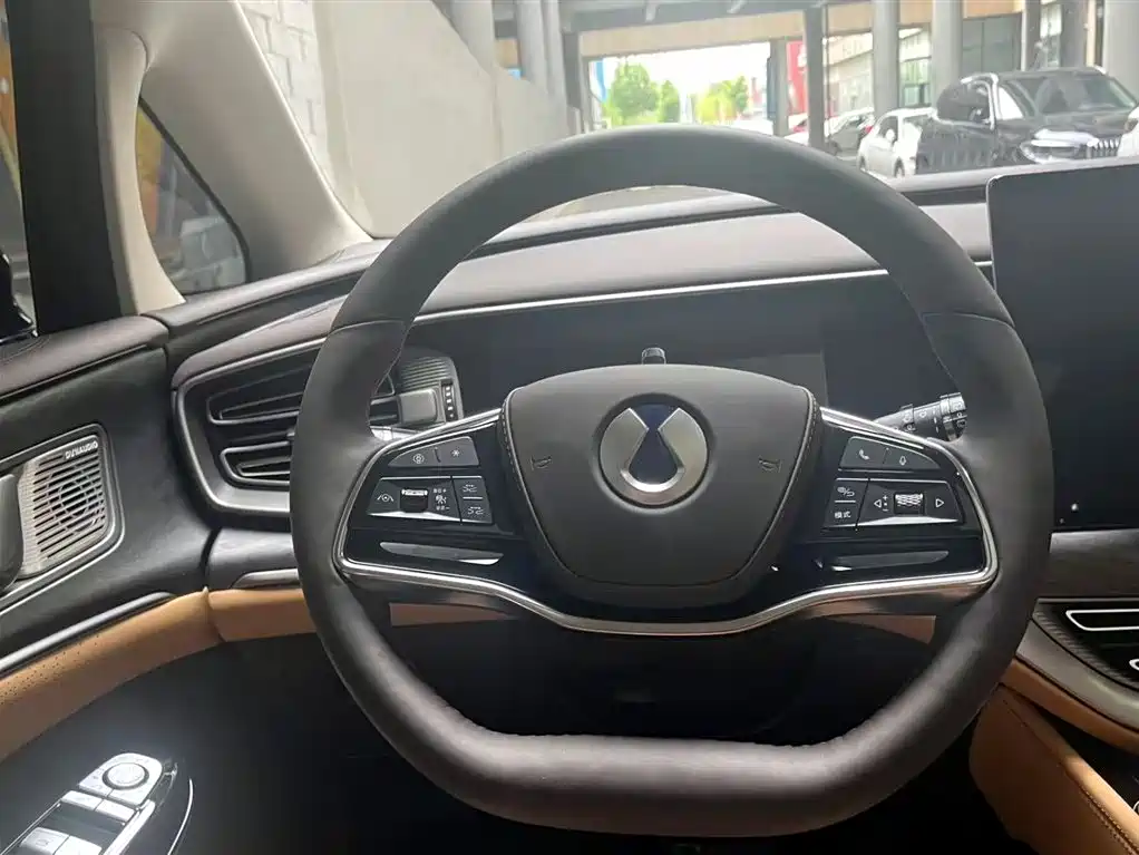 Denza D9 2024 DM-i 980 AWD Premium фото 12