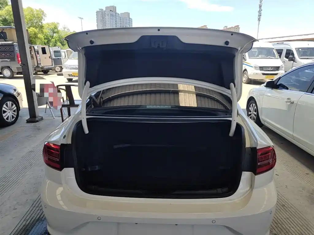 Volkswagen Lamando 2019 280TSI DSG Luxury Edition China VI фото 19