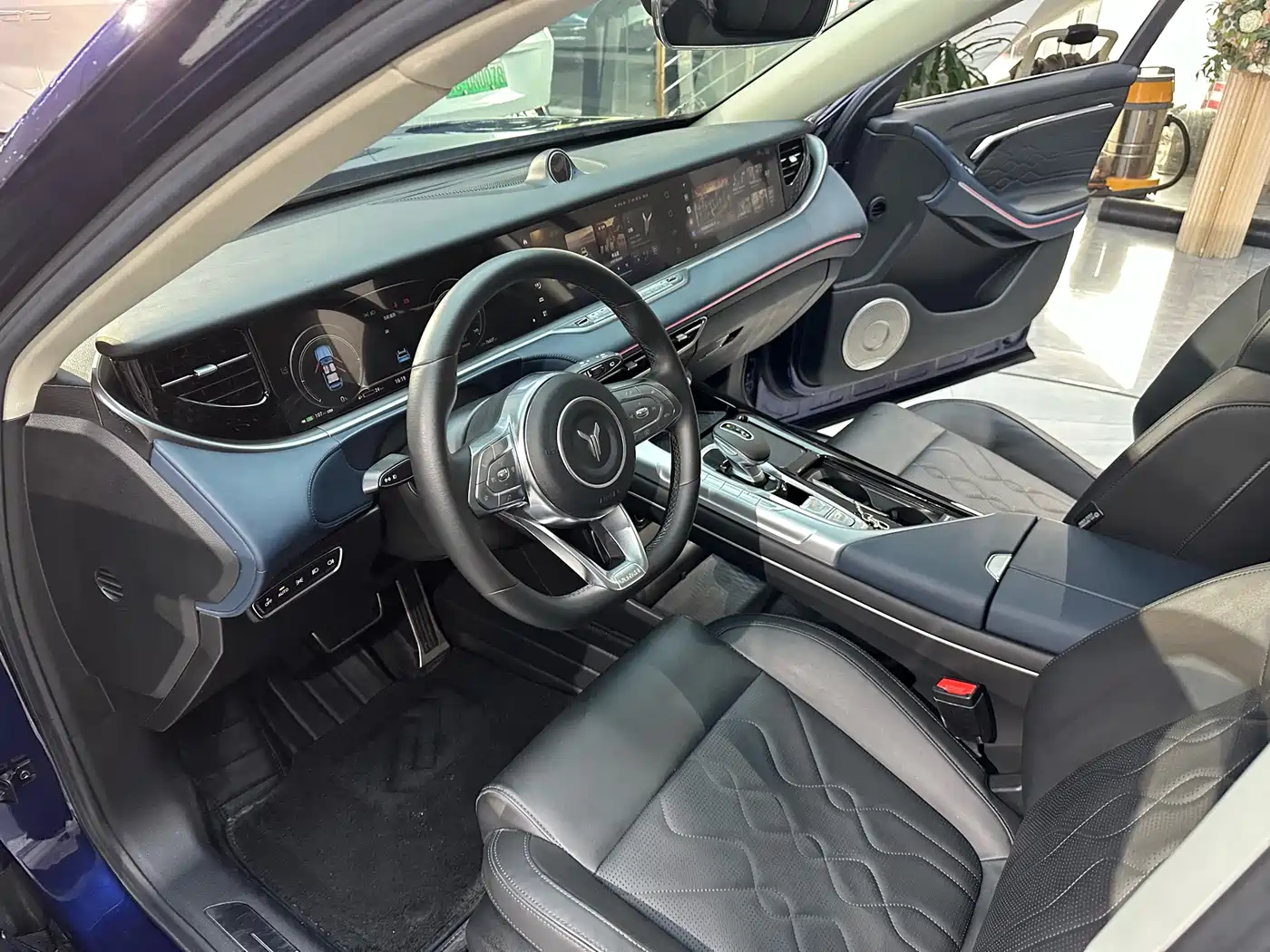 Voyah Auto VOYAH FREE 2021 AWD Standard Range Extender Exclusive Luxury Package фото 9