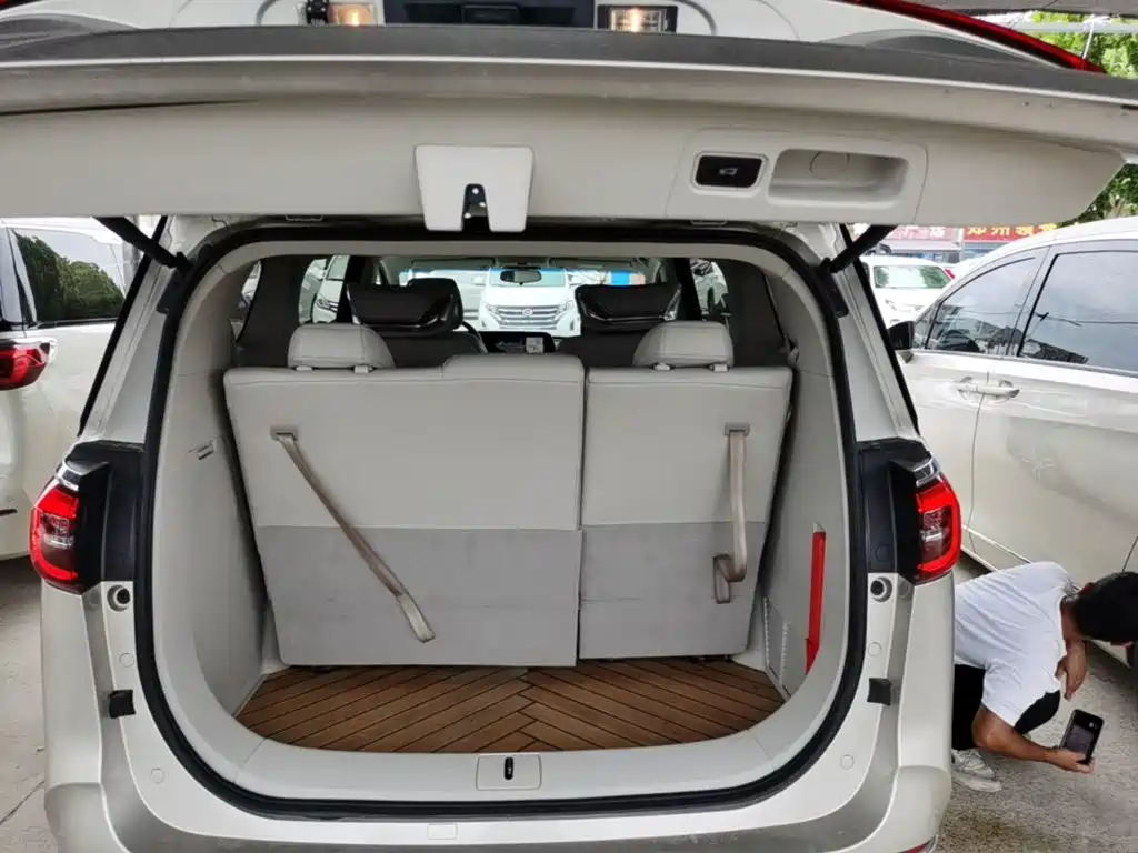 صورة 19 - Buick GL8