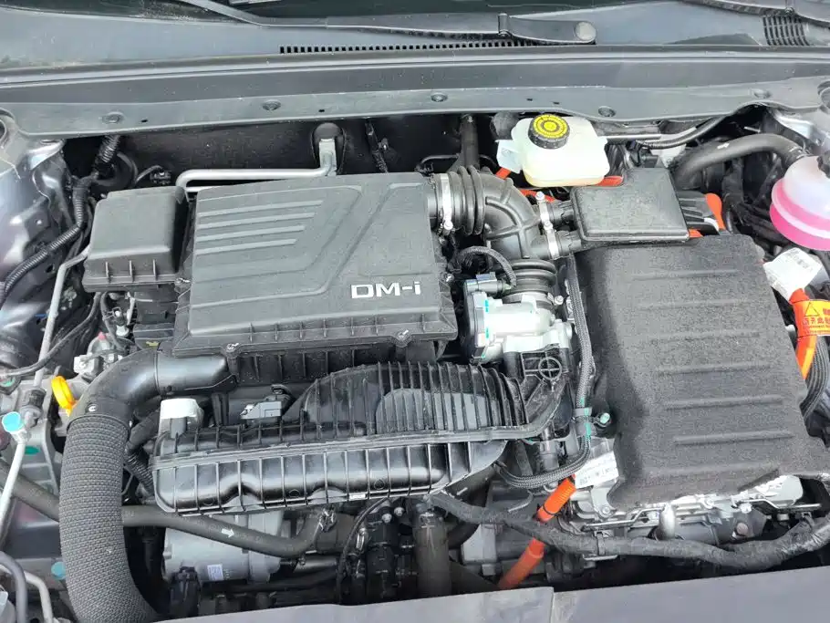 BYD Destroyer 05 2025 2024 Glory Edition DM-i 55KM Luxury