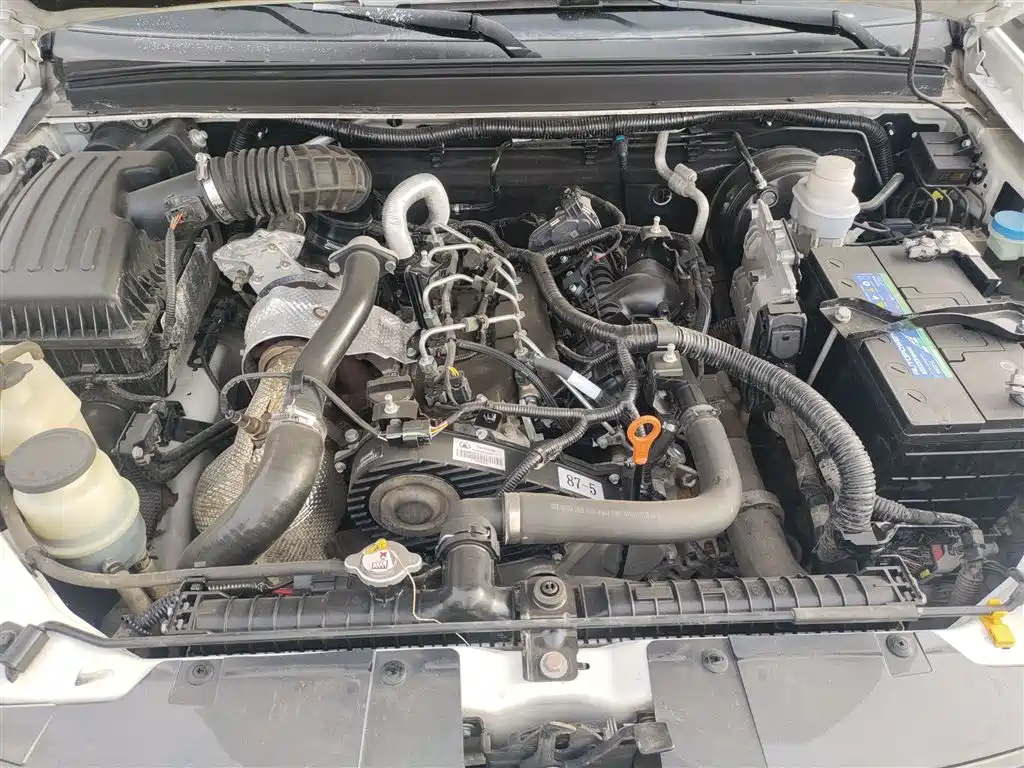 Great Wall Fengjun 5 2021 2021 2.0T Diesel 2WD Elite Large Double Cab China VI GW4D20M
