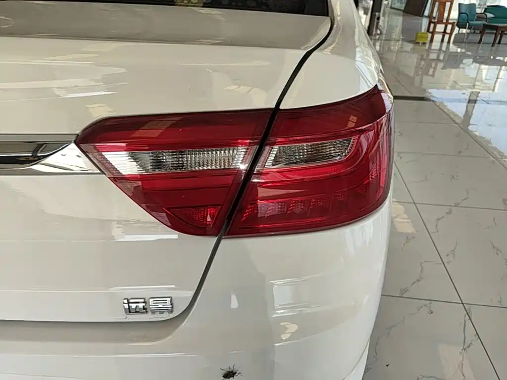 Фото 8 - Geely Vision