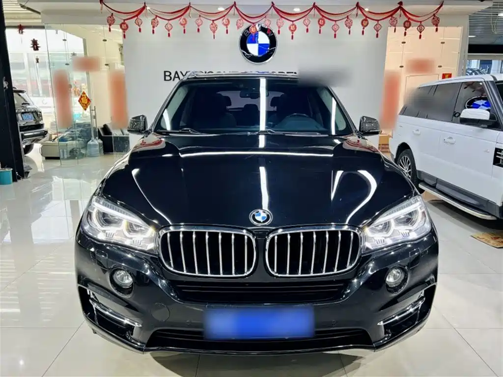 BMW X5 (Import) 2017 xDrive28i фото 5