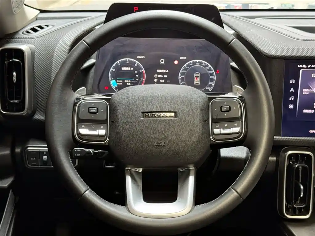 Haval Big Dog 2024 2.0T DCT Chinese Rural Dog Edition фото 11