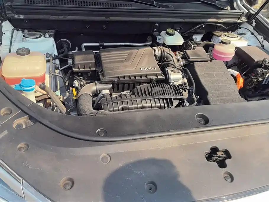 BYD SONGJIANG NEW ENERGY