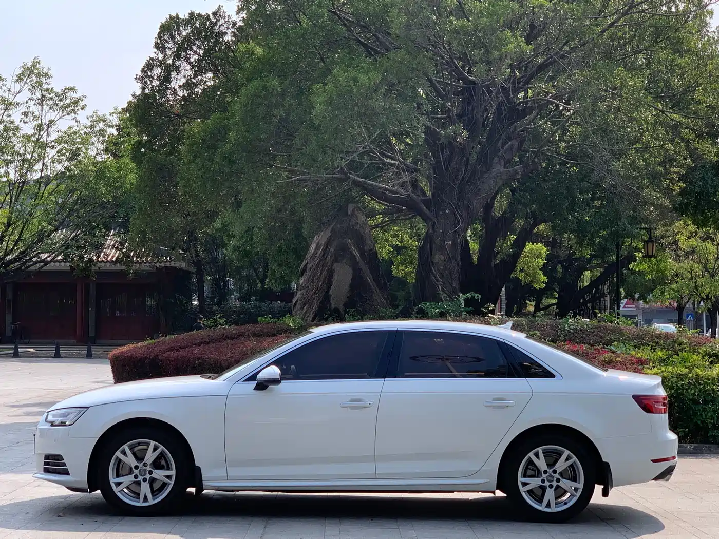 Audi A4L 2018 30th Anniversary 40 TFSI Progressive фото 13