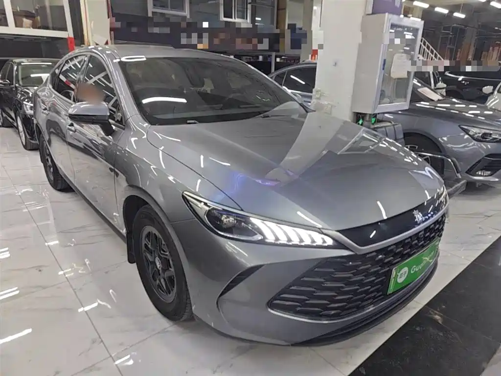 BYD Qin PLUS 2024 Glory Edition DM-i 55KM Leading фото 4
