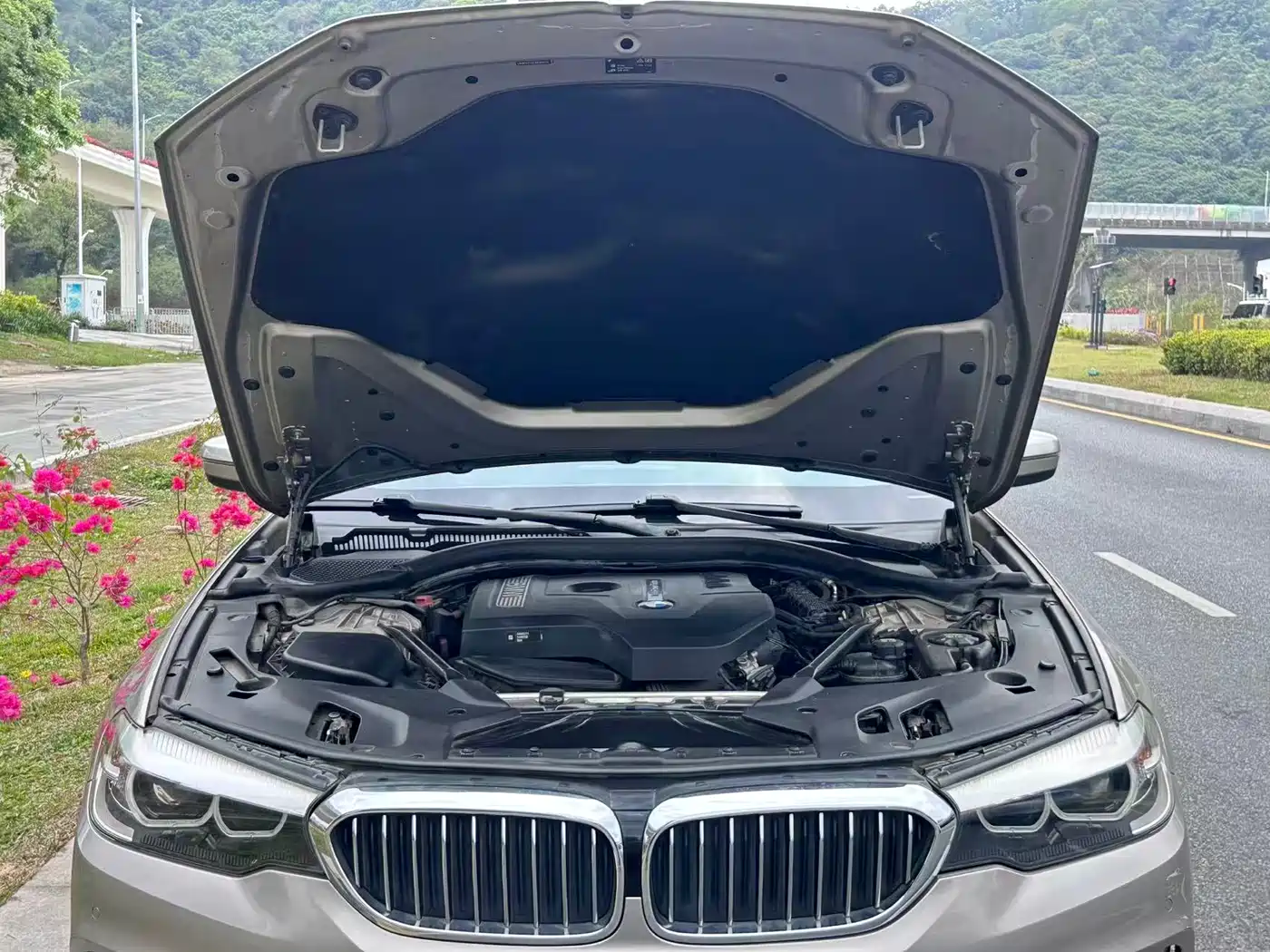 BMW 5 Series 2018 528Li Launch Special Edition фото 15