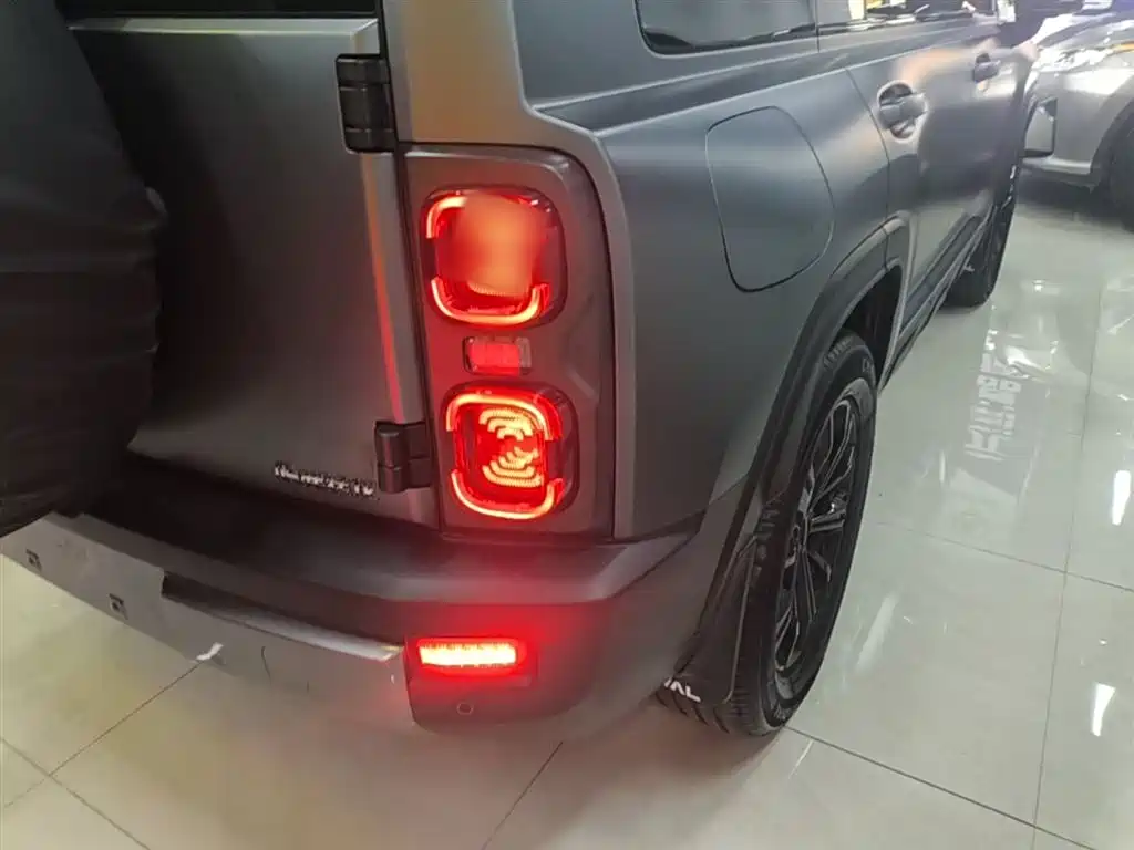 Haval Meng Long NEV 2024 Hi4 145 Cross-country Edition фото 8