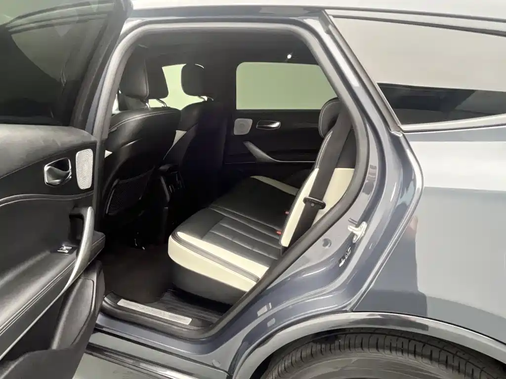 Denza X 2020 2020 PHEV Sport Edition