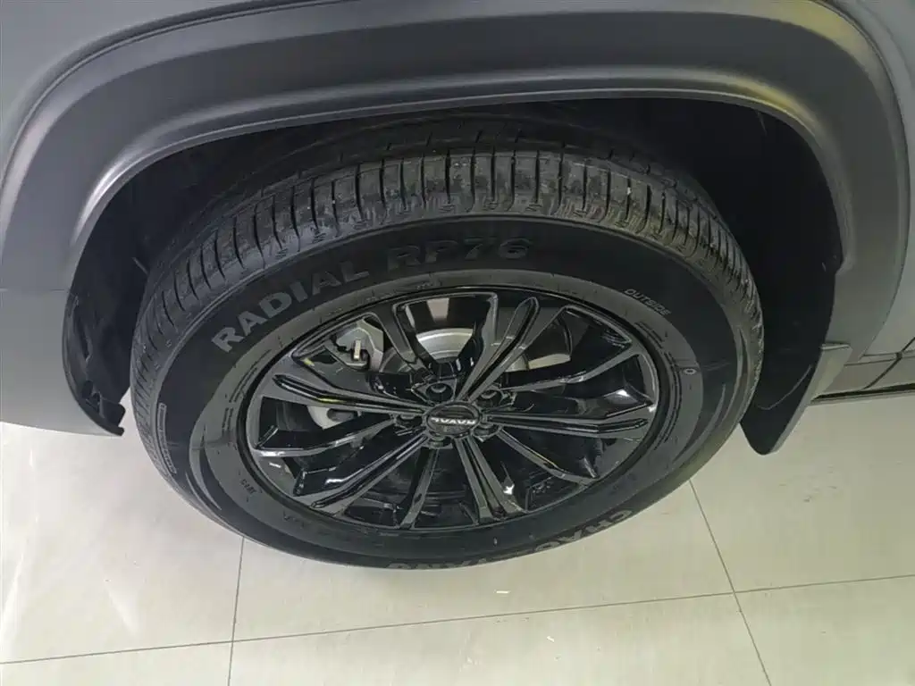 Haval Meng Long NEV 2024 Hi4 145 Cross-country Edition фото 23