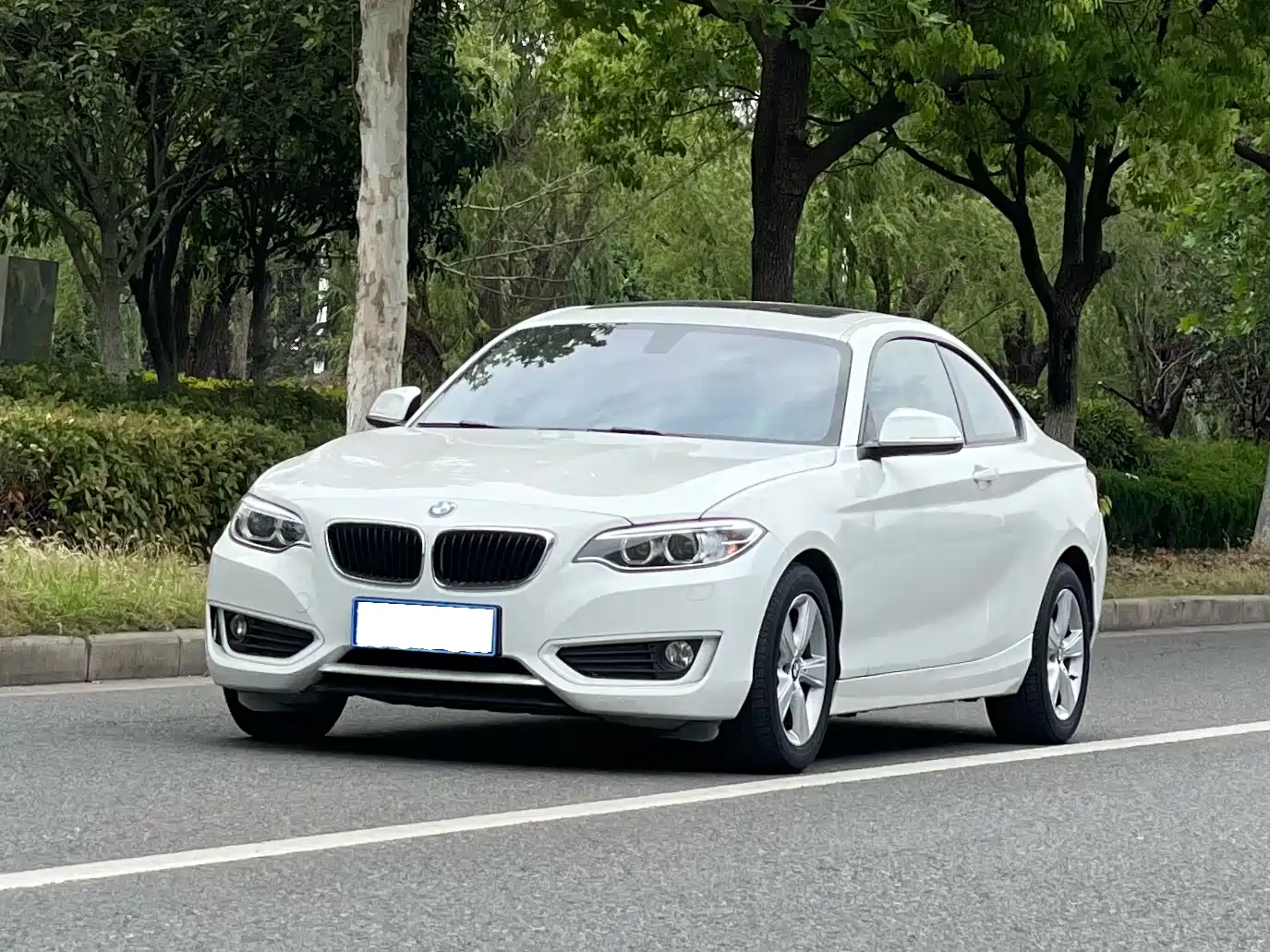 BMW 2 Series (Import) 2014 220i Leading
