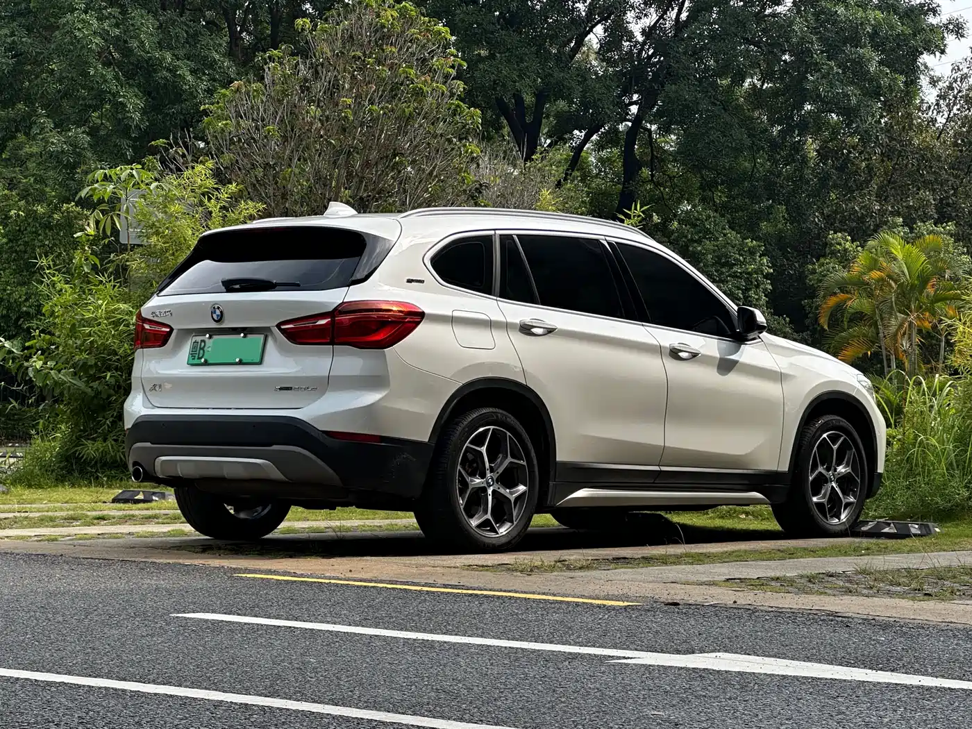 BMW X1 New Energy 2018 xDrive25Le Luxury Model фото 5
