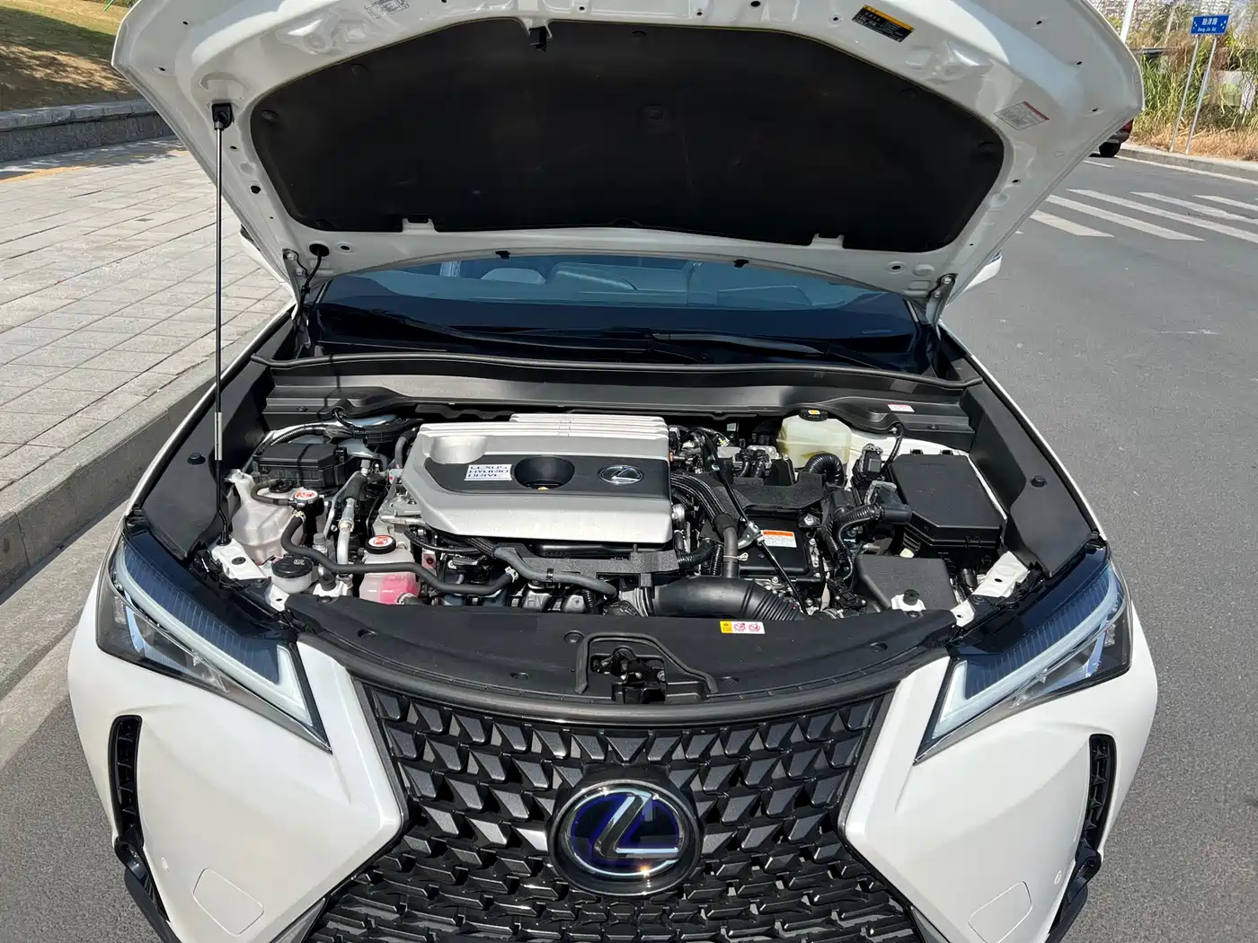 Lexus UX 2020 260h Explore Fun Edition China V фото 30