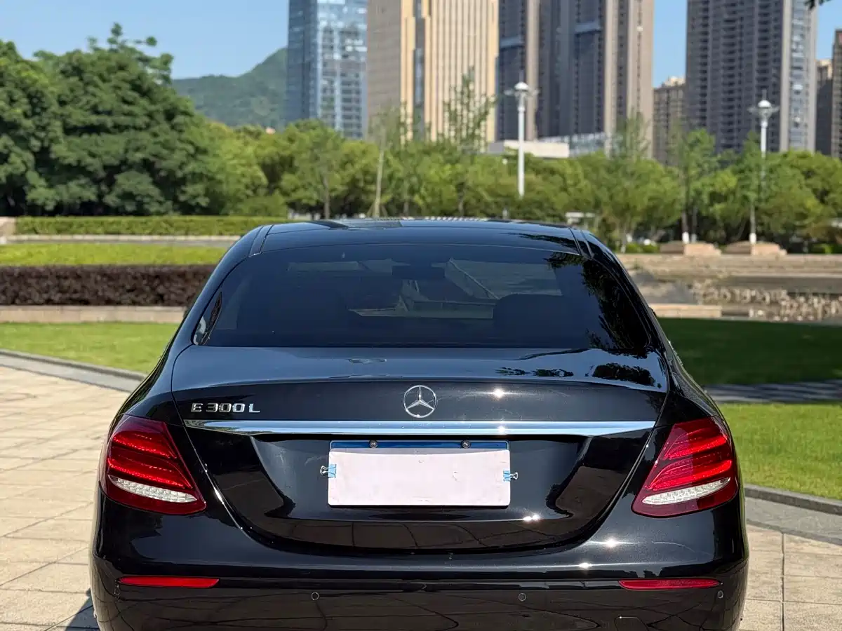 Mercedes-Benz E-Class 2020 Facelift E 300 L Fashion фото 15