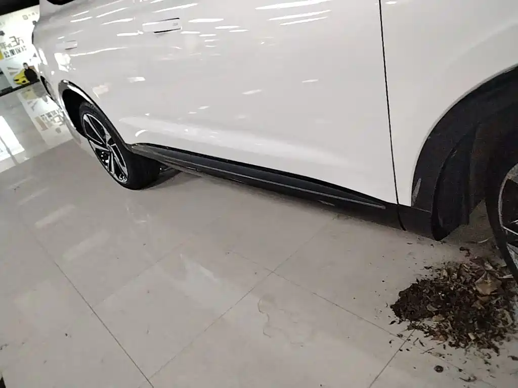 Roewe RX5 MAX 2022 2022 1.5T Auto Promising Premium Edition