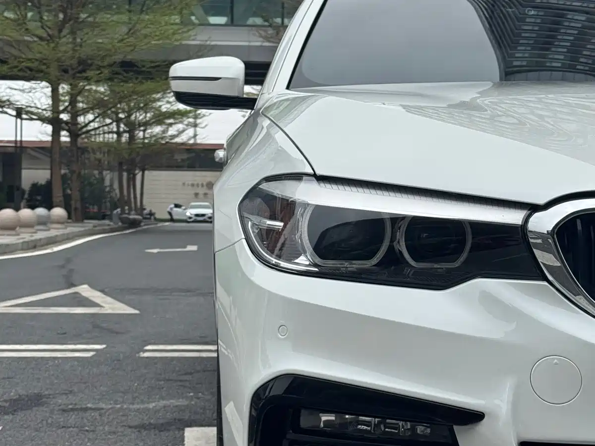 BMW 5 Series 2019 530Li Leading M Sport Package фото 6