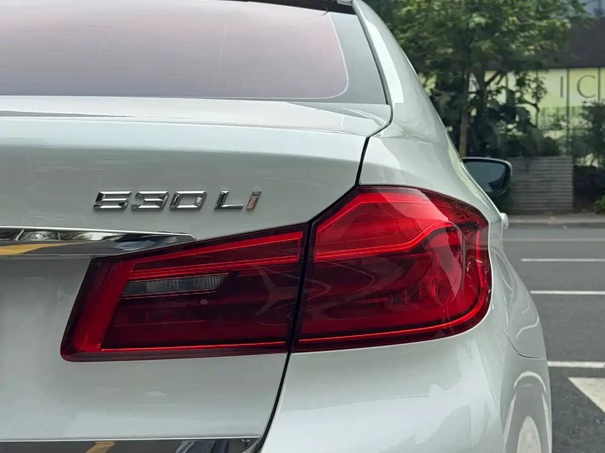 BMW 5 Series 2019 530Li Leading M Sport Package фото 8