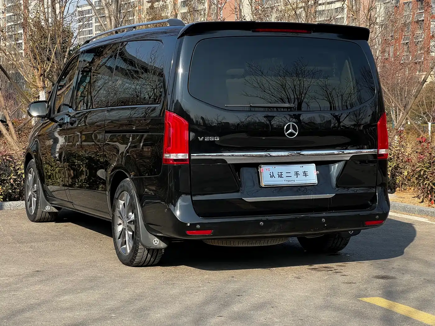 Mercedes-Benz V-Class 2018 V 260 Pilot Edition China V фото 16
