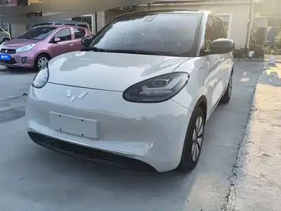 Wuling Bingo
