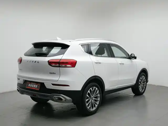 Haval H6 2020 1.5GDIT Automatic Platinum Luxury Edition — фото 2