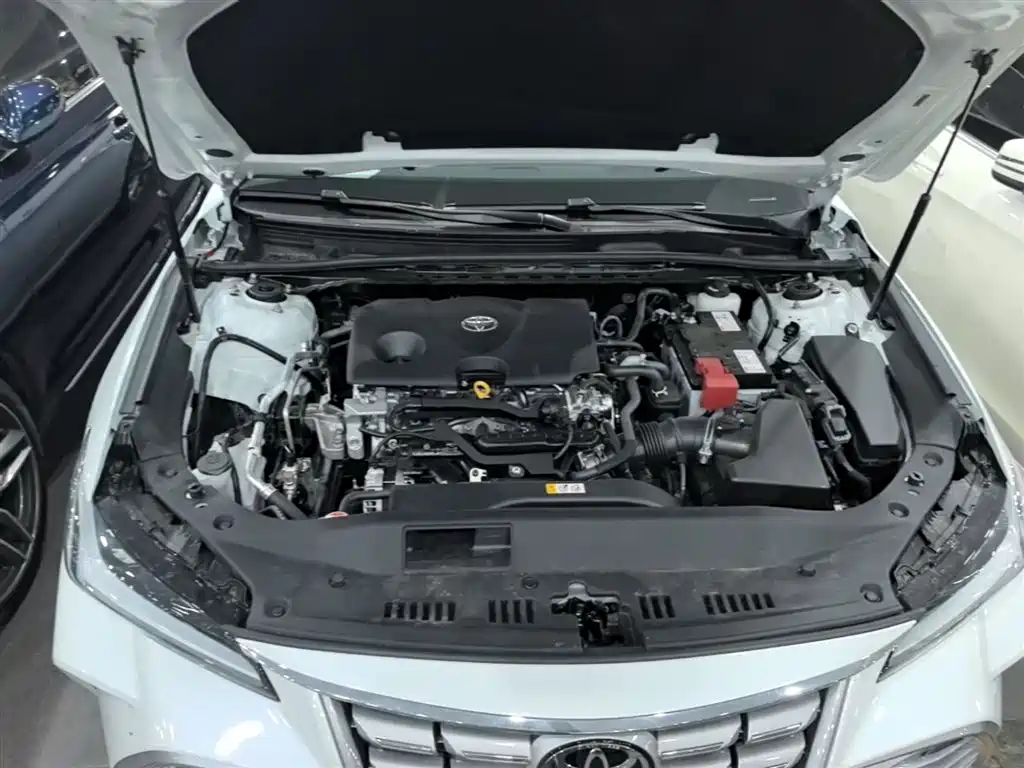 TOYOTA ASIAN DRAGON