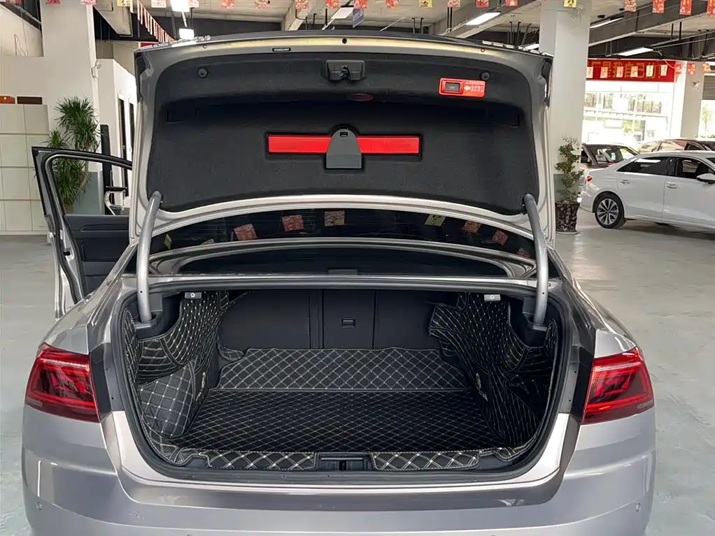 Volkswagen Magotan 2020 330TSI DSG Luxury фото 12