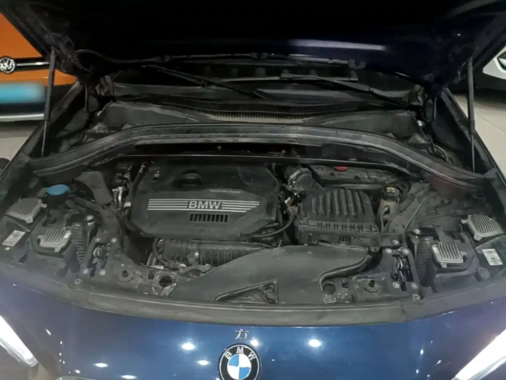 BMW X2 (Import) 2019 2019 sDrive20i M Off-Road Package China VI