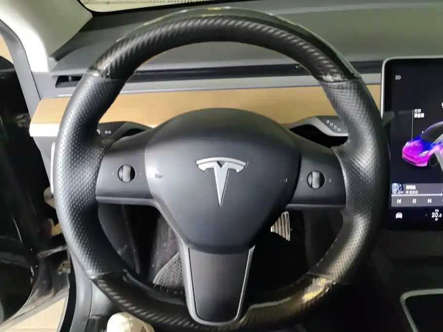 Tesla Model Y 2021 2021 Standard Range Rear-Wheel Drive