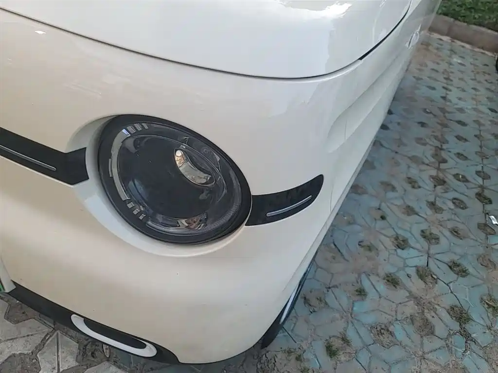 Geely Galaxy Panda 2025 Panda mini 210km Vitality Bear фото 24