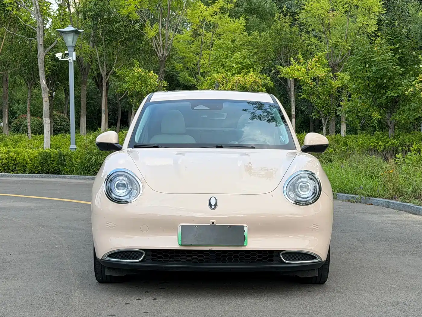 Ora Good Cat GT 2024 2023 Mulan Edition 401km Honor Model