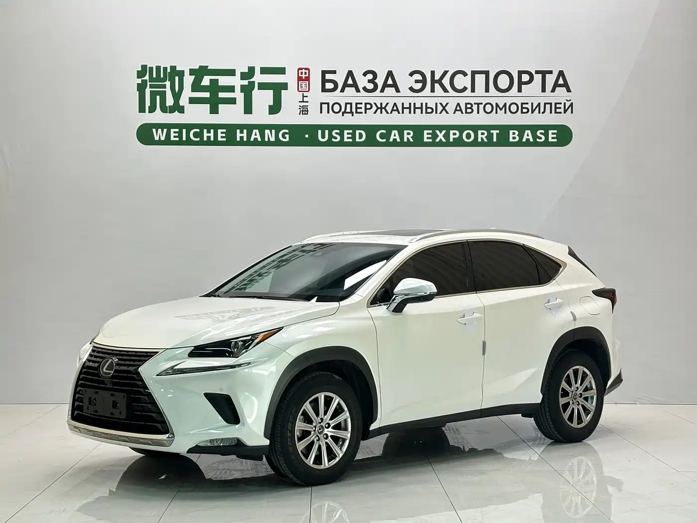 Lexus NX 2020 200 AWD F Sport China V