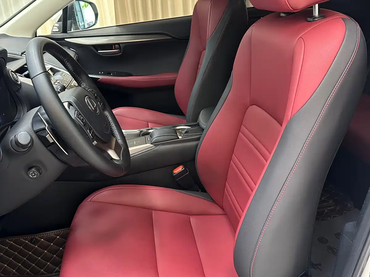 Lexus NX 2020 200 AWD F Sport China V фото 7