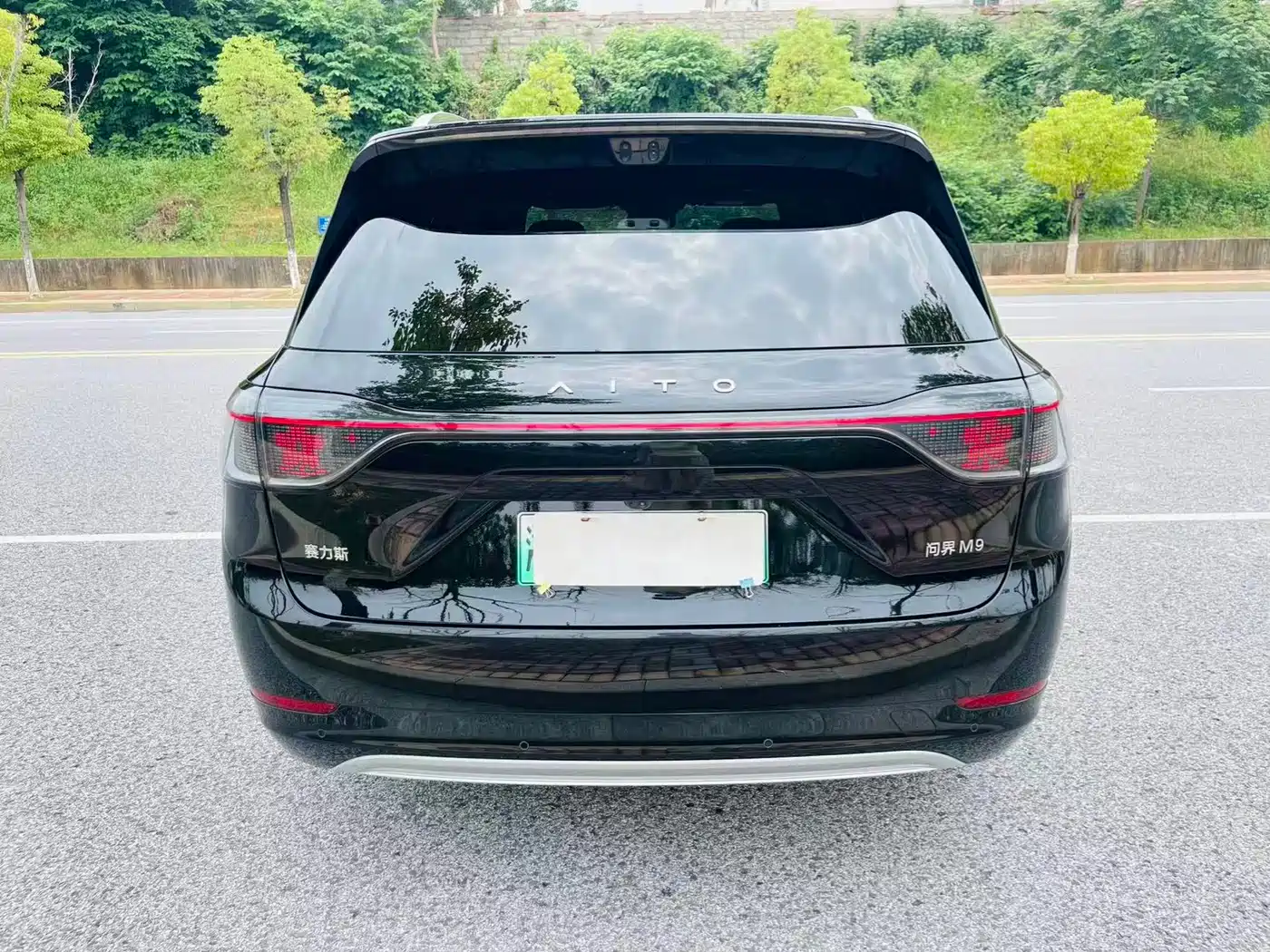 AITO Wenjie AITO M9 2025 Range Extender Max 52kWh 5-Seater фото 8
