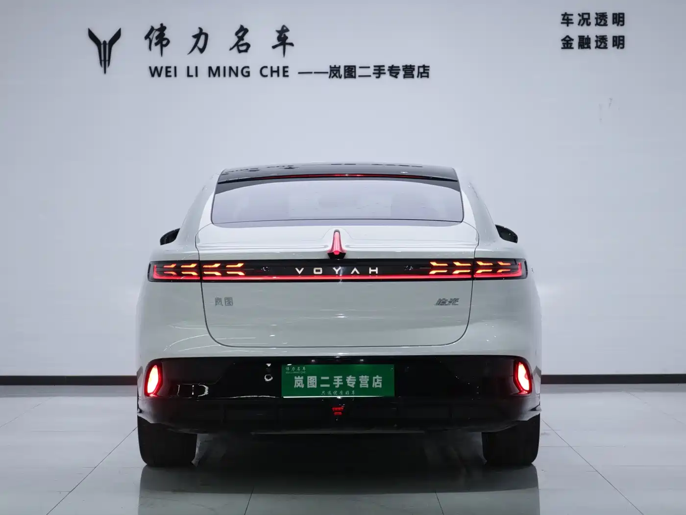 Voyah Passion 2025 2024 PHEV AWD Ultra-long Range Executive Edition