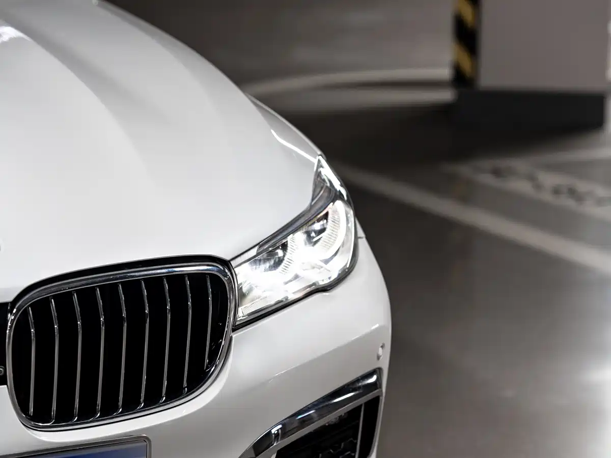 BMW 7 Series 2018 730Li Leading Type M Sport Package фото 11