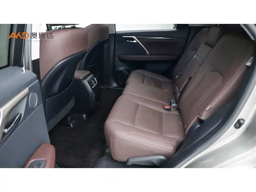 Lexus RX 2020 300 4WD Elegance Edition China VI фото 7