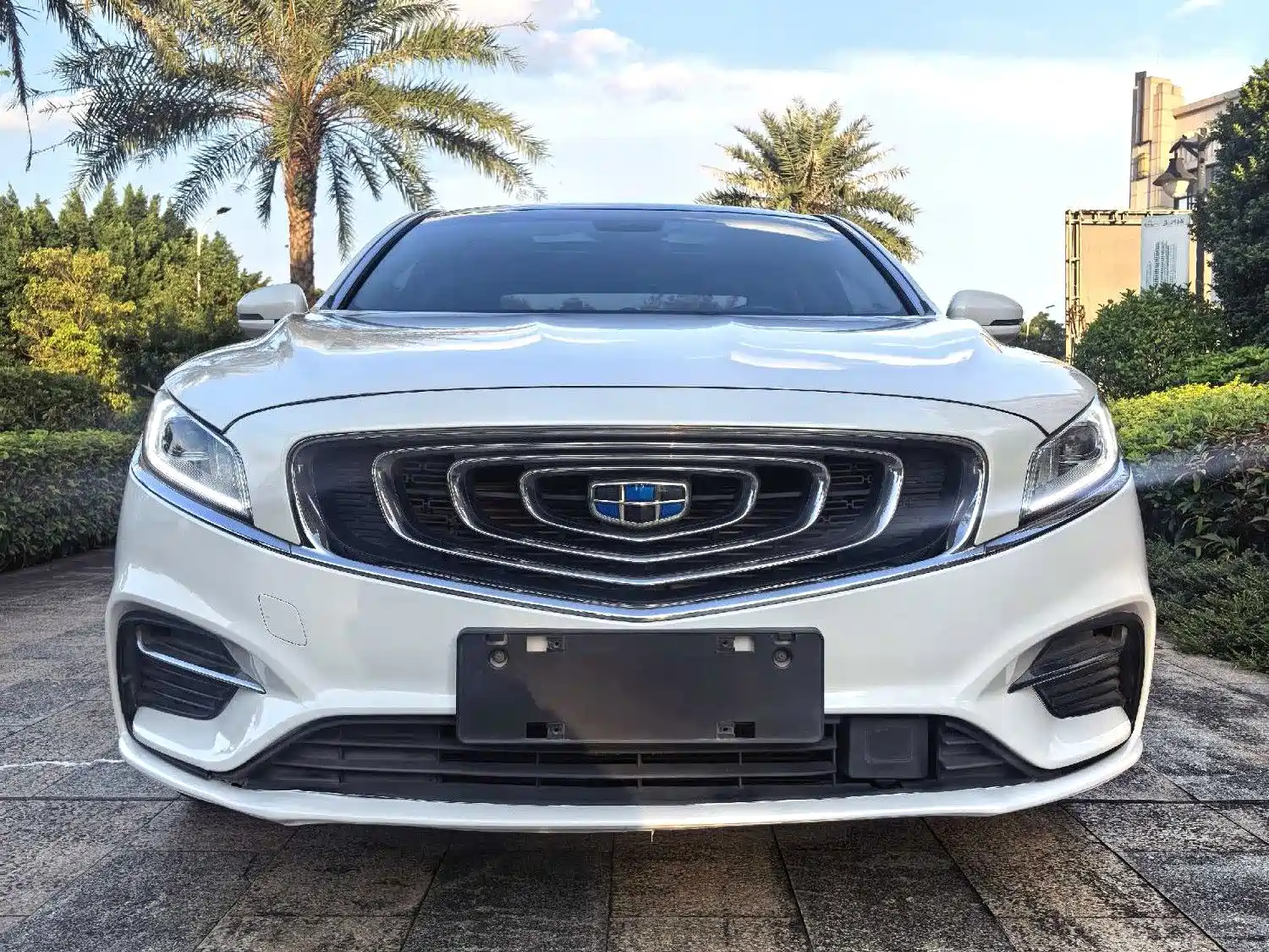 Фото 2 - Geely Borui