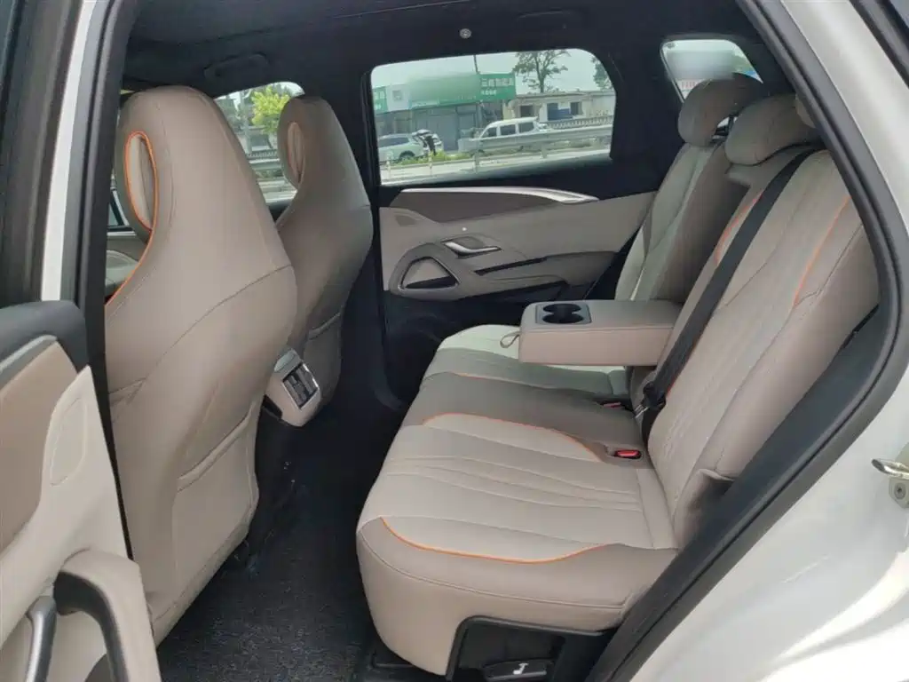 BYD Song Pro New Energy 2023 Champion Edition DM-i 110KM Excellence фото 17
