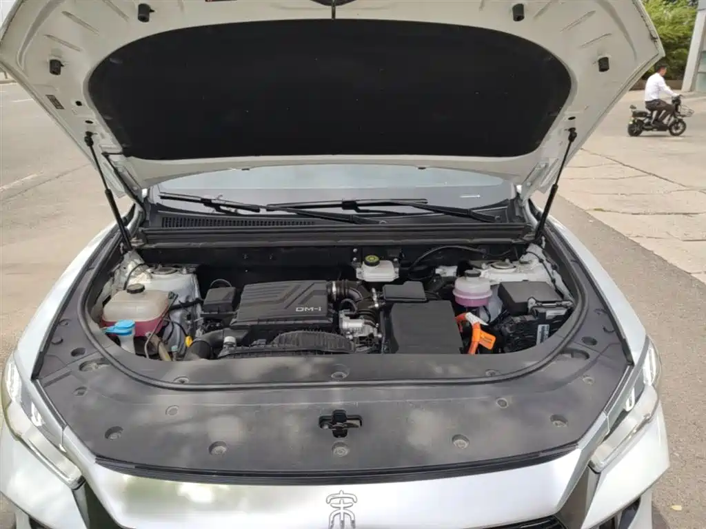 BYD Song Pro New Energy 2023 Champion Edition DM-i 110KM Excellence фото 20
